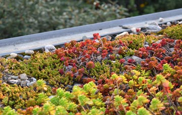 the cost of Iolaraigh green roof installation