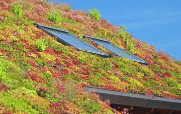 Iolaraigh living roof systems