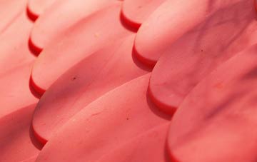 Iolaraigh plastic roof costs