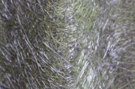 Iolaraigh fibreglass roof work